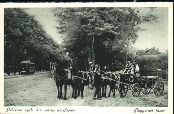 Debrecen Debrezin Pferdekutsche