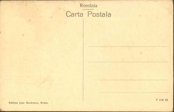 Molorosei – Bild 2