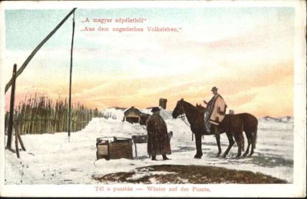Ungarn Pferd Winter Puszta