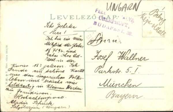 Balkan Ungarn Pferde – Bild 2