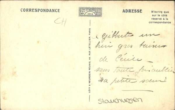 Hunde Bernhardiner Le Grand Saint-Bernard – Bild 2