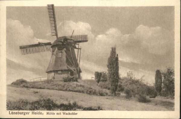 Windmuehlen Lüneburger Heide Wacholder