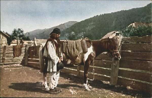 Pferde Hudzule Bukarest