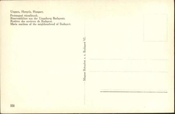 Balkan Ungarn Rosenmädchen Budapest – Bild 2