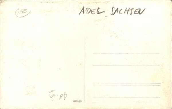 Adel Sachsen Sarg – Bild 2