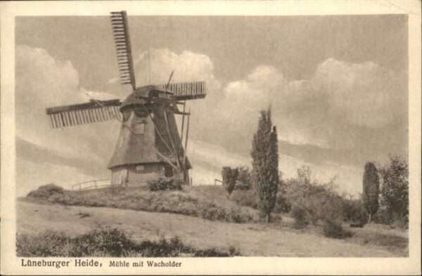 Windmuehlen Lüneburger Heide Wacholder