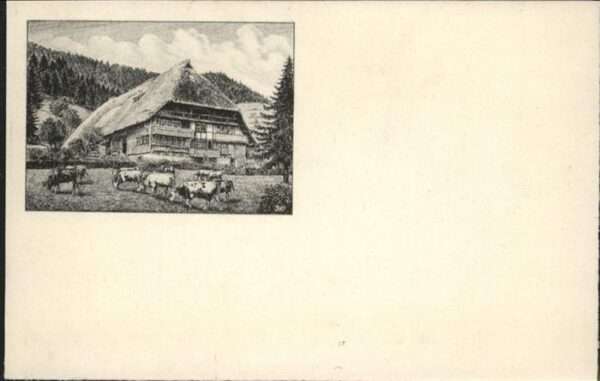 Schwarzwaldhaeuser Bauernhaus