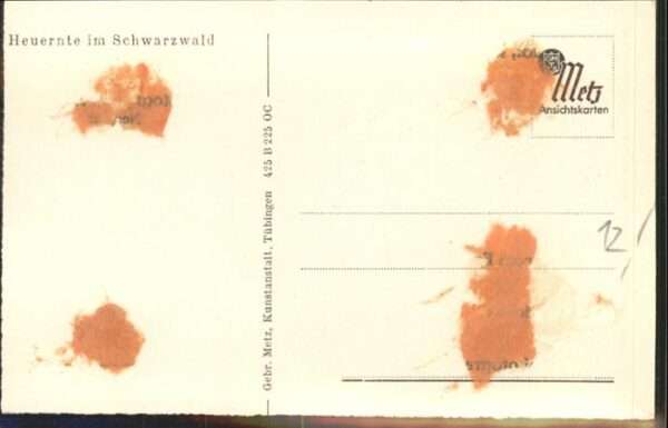Schwarzwaldhaeuser Heuernte – Bild 2