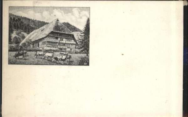 Schwarzwaldhaeuser Bauernhaus Kühe