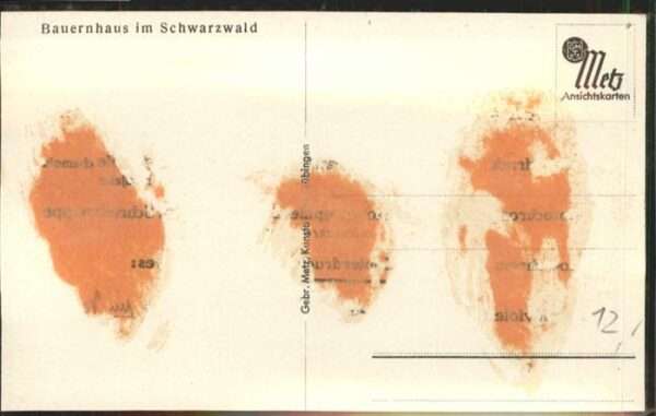 Schwarzwaldhaeuser Bauernhaus – Bild 2