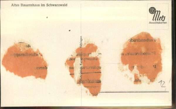Schwarzwaldhaeuser Bauernhaus – Bild 2