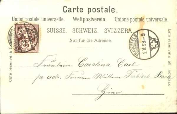 Trompeter Scheffel Trompete – Bild 2