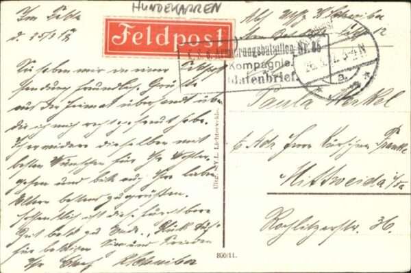 Hundekarren Hund Mädchen Vlaanderen – Bild 2