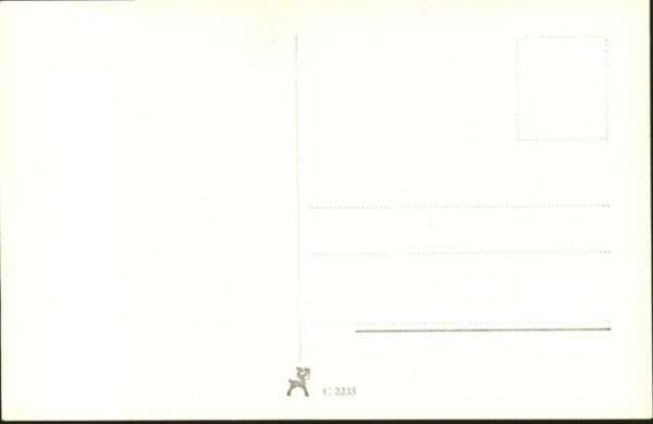 Verlag Film-Foto-Verlag Nr. A 3741/1 Rudolf Prack – Bild 2