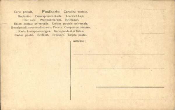 Adel Preussen Kronprinz Friedrich Wilhelm Cecilie Bra – Bild 2