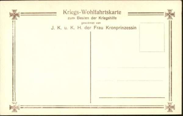 Adel Preussen Kronprinz Jüngster Feldgrau – Bild 2