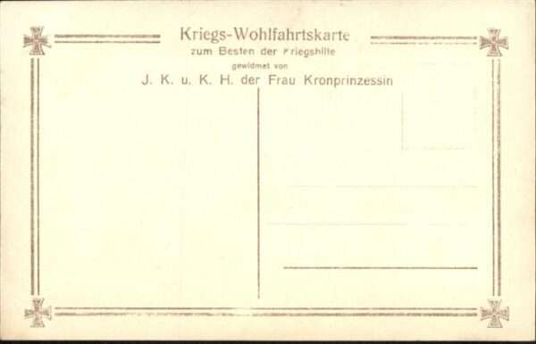 Adel Preussen Söhne Kinder Prinzen Feldgrau – Bild 2