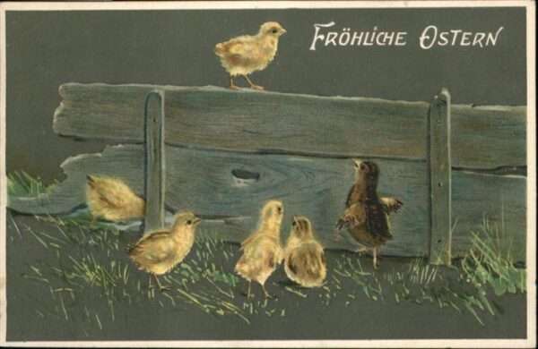 Ostern Easter Paques Küken