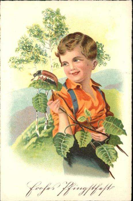 Maikaefer Cockchafer Hanneton Junge Kind Pfingsten