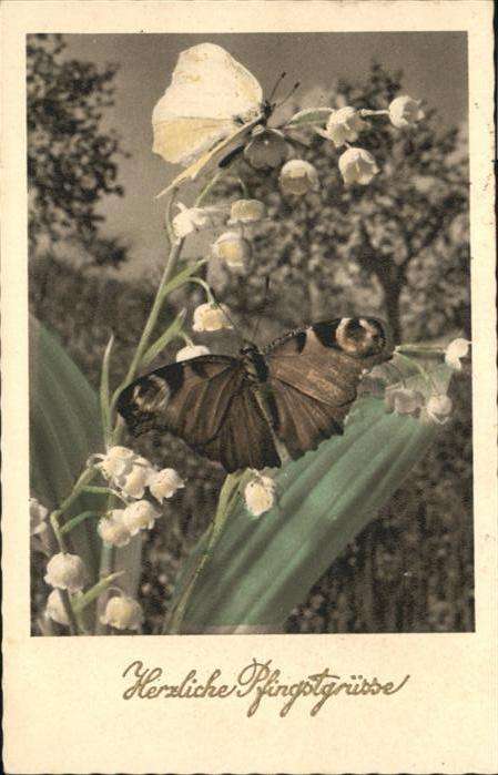 Pfingsten Pentecost Pentecote Schmetterling