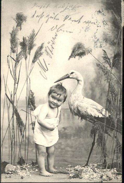 Voegel Storch Kind
