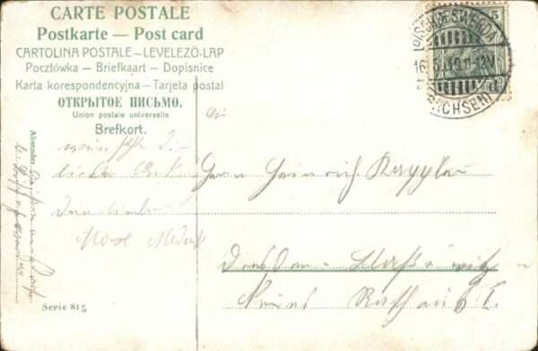 Kutschen Pferde – Bild 2