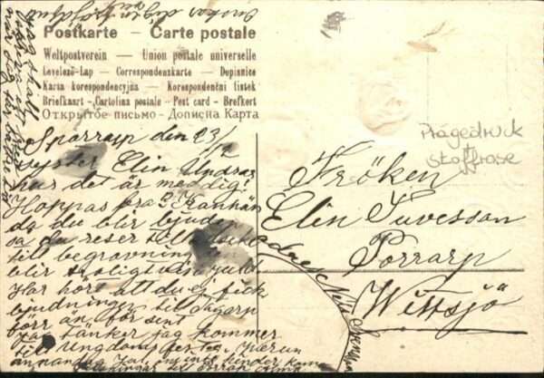 Voegel – Bild 2