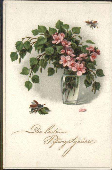 Maikaefer Cockchafer Hanneton Pfingsten Blumen