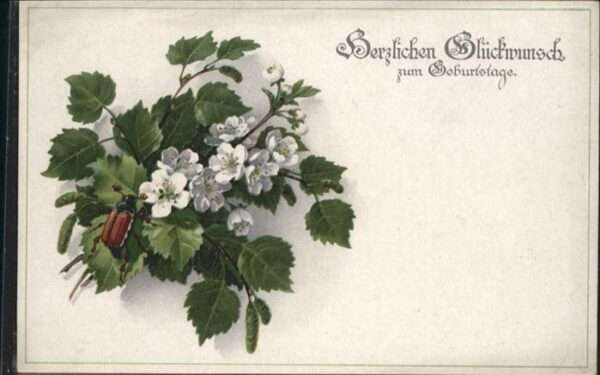 Geburtstag Maikäfer Blumen