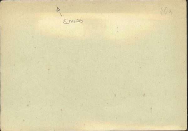 Neujahr Schwein – Bild 2