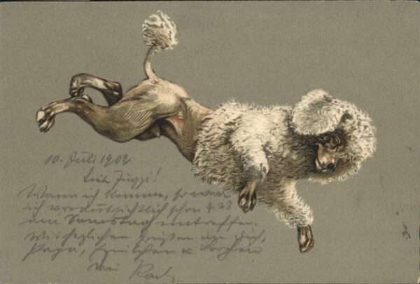 Hunde