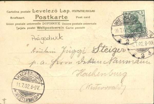 Hunde – Bild 2