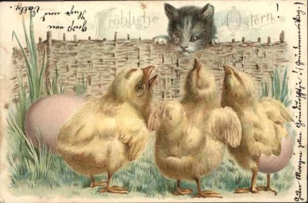Ostern Easter Paques Küken Katze