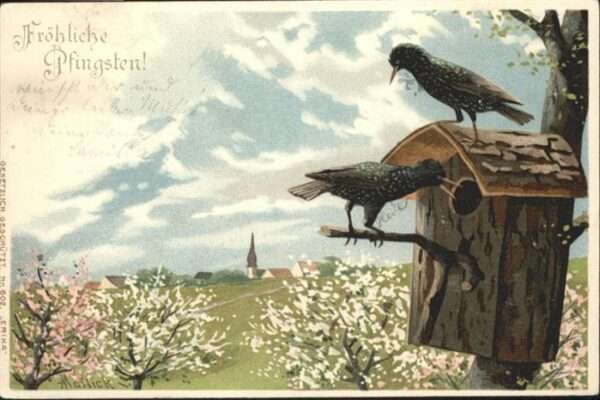 Voegel Pfingsten Vogelhaus