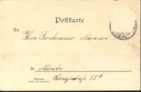 Mailick Pferde Kutschen Pfingsten – Bild 2