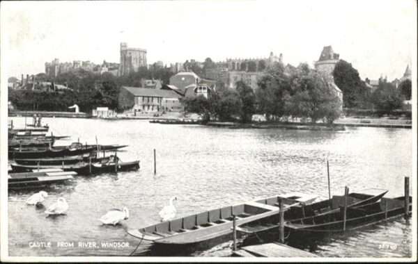 Windsor Castle Castle Schwan