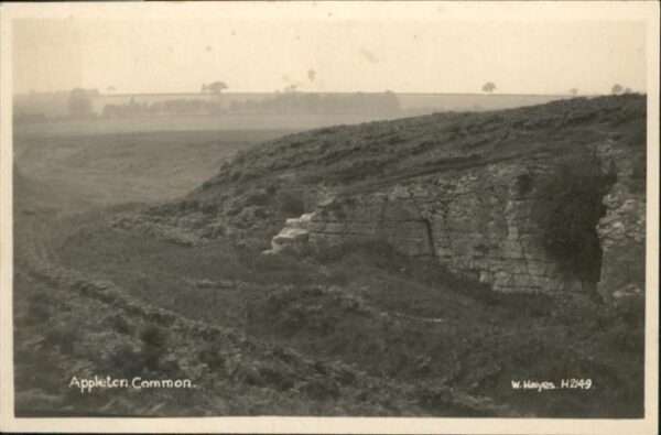 Appleton Oxford Common