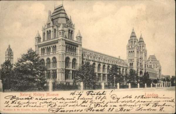 London Natural History Museum