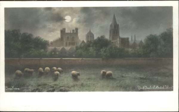 Oxford Oxfordshire Cathedral Church Schafe Künstler Keene