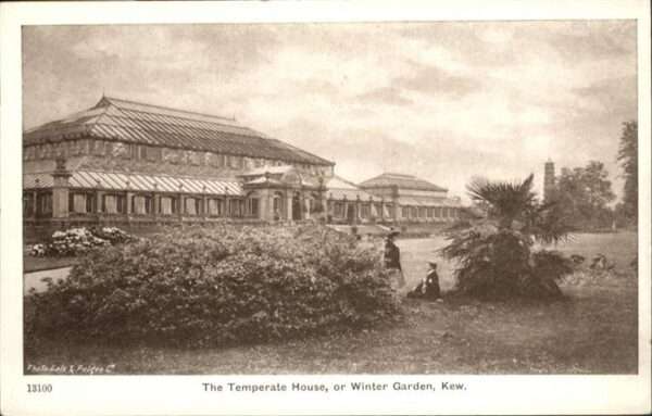 London Temperate House Winter Garden Kew