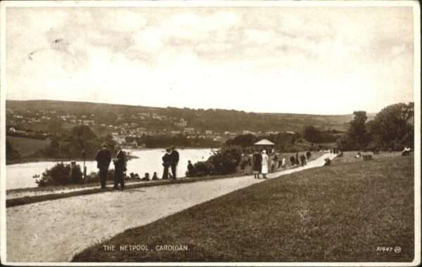 Cardigan Netpool