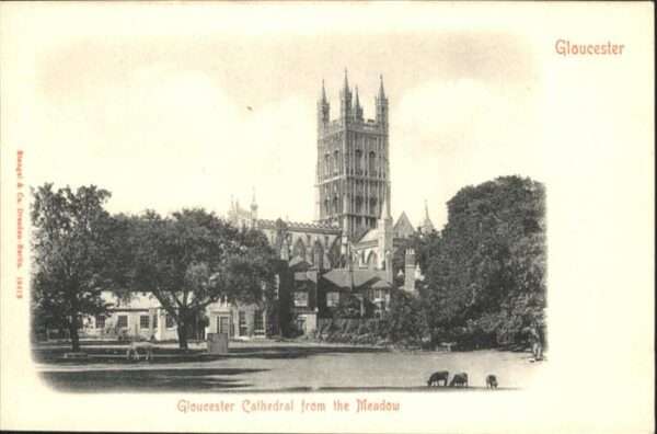 Gloucester Cathedral Meadow