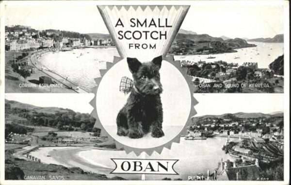Oban Hund
