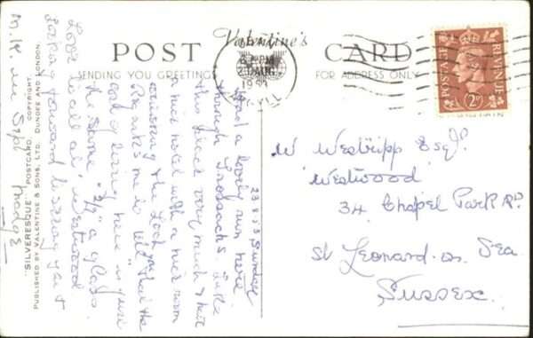 Oban Hund – Bild 2