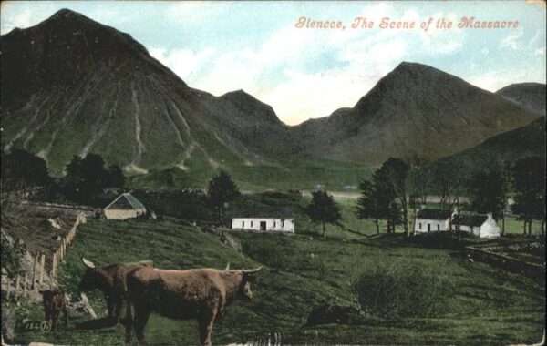 Glencoe Kühe