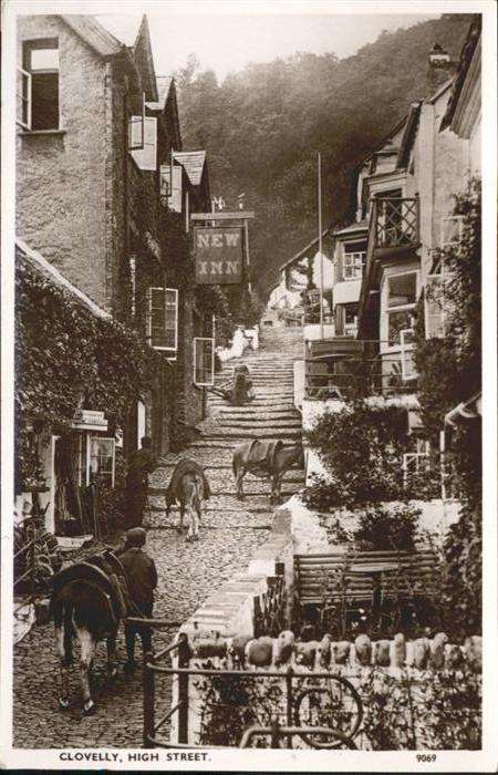 Clovelly Bay High Street Esel