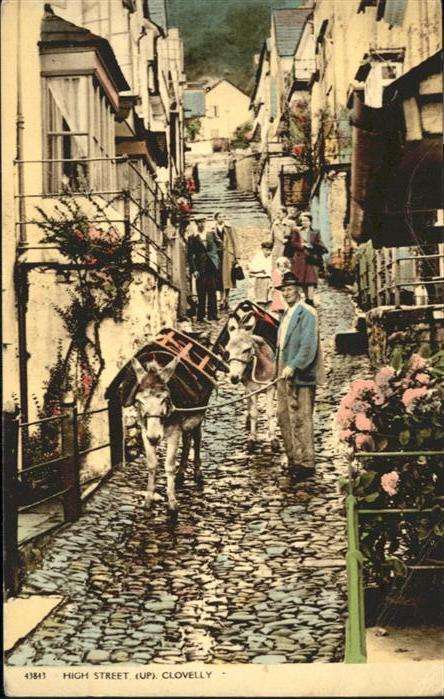 Clovelly Bay High Street Esel
