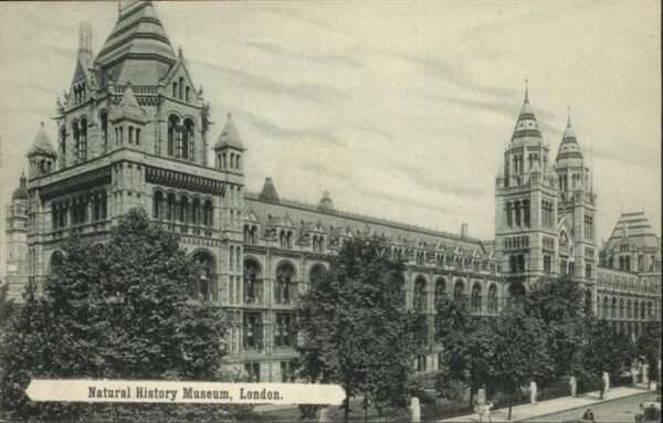 London Natural History Museum