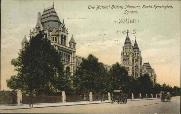 London Natural History Museum
South Kensingto