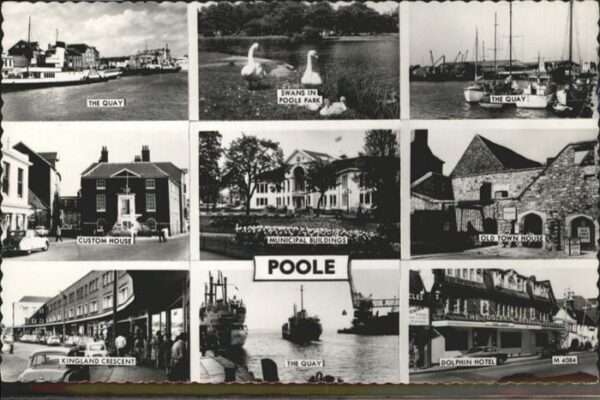 Poole Dorset Quay Swans, Old Town House, Custom Hous
